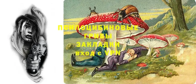 Псилоцибиновые грибы Psilocybe  купить наркотики сайты  Кирс 